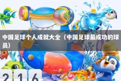 中国足球个人成就大全（中国足球最成功的球员）