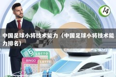 中国足球小将技术能力（中国足球小将技术能力排名）
