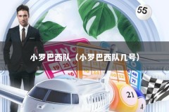 小罗巴西队（小罗巴西队几号）