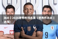 孙兴慜2026世界杯预选赛（世界杯孙兴慜进球）