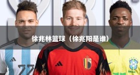 徐兆林篮球（徐兆阳是谁）