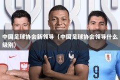 中国足球协会新领导（中国足球协会领导什么级别）