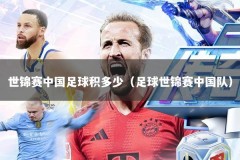 世锦赛中国足球积多少（足球世锦赛中国队）